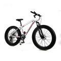 2019 china hot sale fat wheel motorbike/fat bike black/fat tire mountain bike reviews